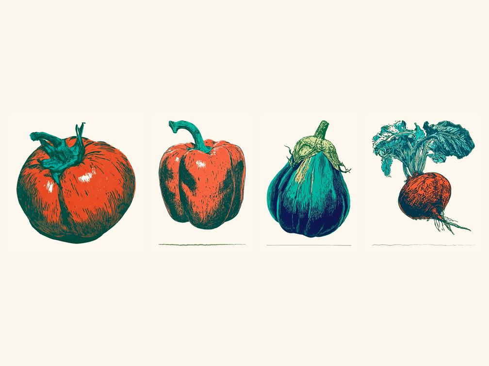 Four hand-pressed linocut produce prints in the same consistent style: tomato, bell pepper, aubergine, beetroot